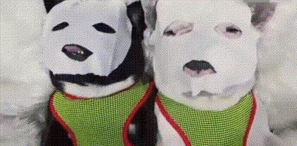 日本保湿很好面膜推荐,日本好物护肤品2023