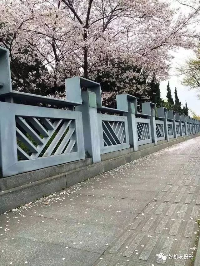 手机摄影制作创作灵感,手机摄影制作实操