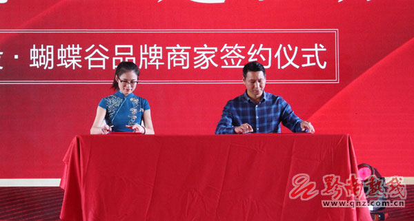 中投蝴蝶谷演唱会,中投蝴蝶谷建设