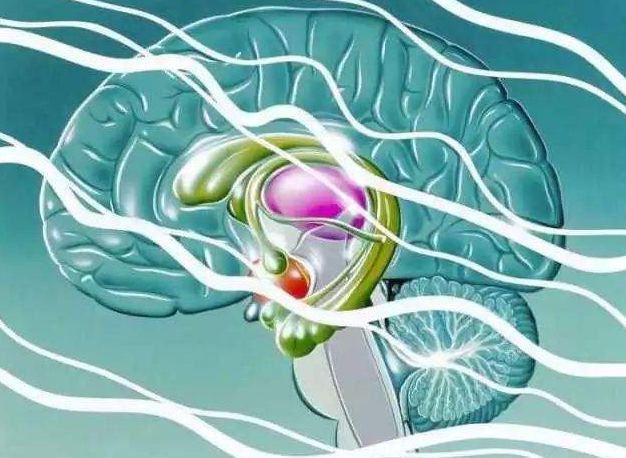 癫痫抽搐监测器,癫痫监测设备