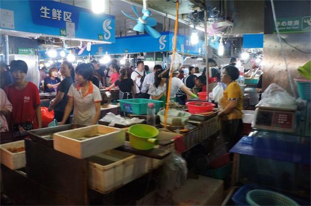 三亚亲子私人定制旅游攻略,三亚自驾亲子游攻略