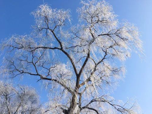刘烨一家三口野外生活,刘烨旅游