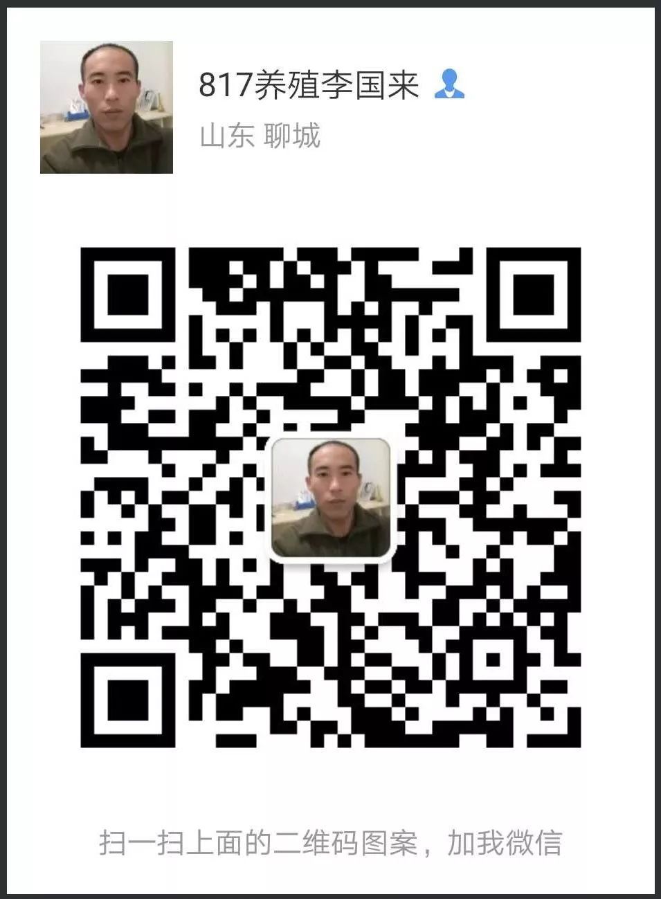 养鸡大批死亡的控制方法-仅供参考！