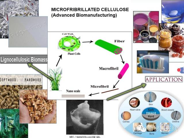 未来二十年最具潜力的科技股,未来最有潜力的新材料概念股