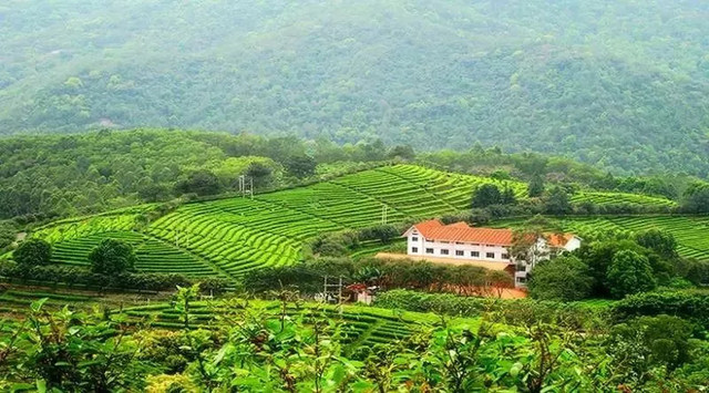 别找我，我要去梅州了！