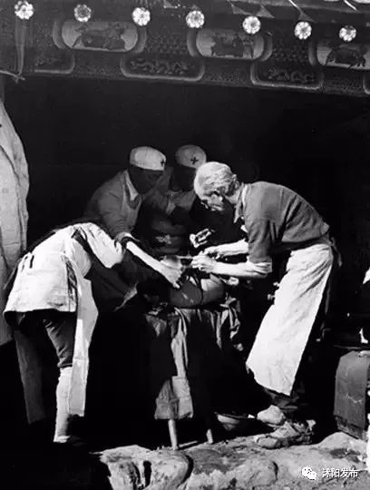 夏老师到底爱谁,夏老师喜欢陈律吗