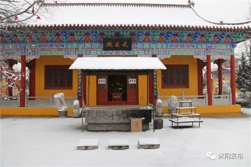 夏老师到底爱谁,夏老师喜欢陈律吗