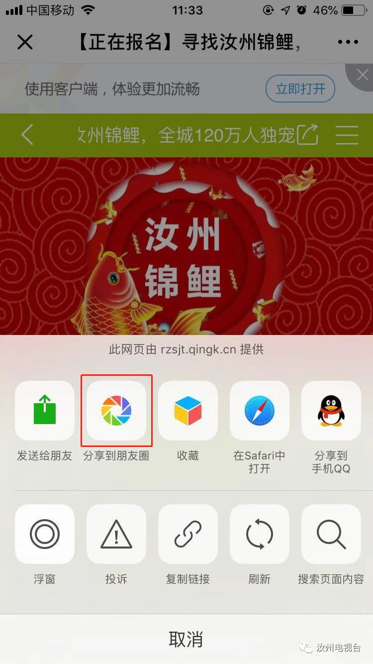寻找锦鲤活动,寻找汝州锦鲤