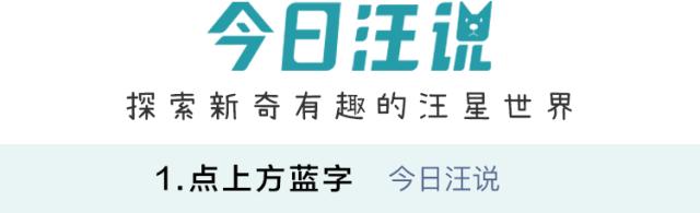 给狗狗洗澡你的方法真的正确吗,给狗狗洗澡的正确方式你学会了吗