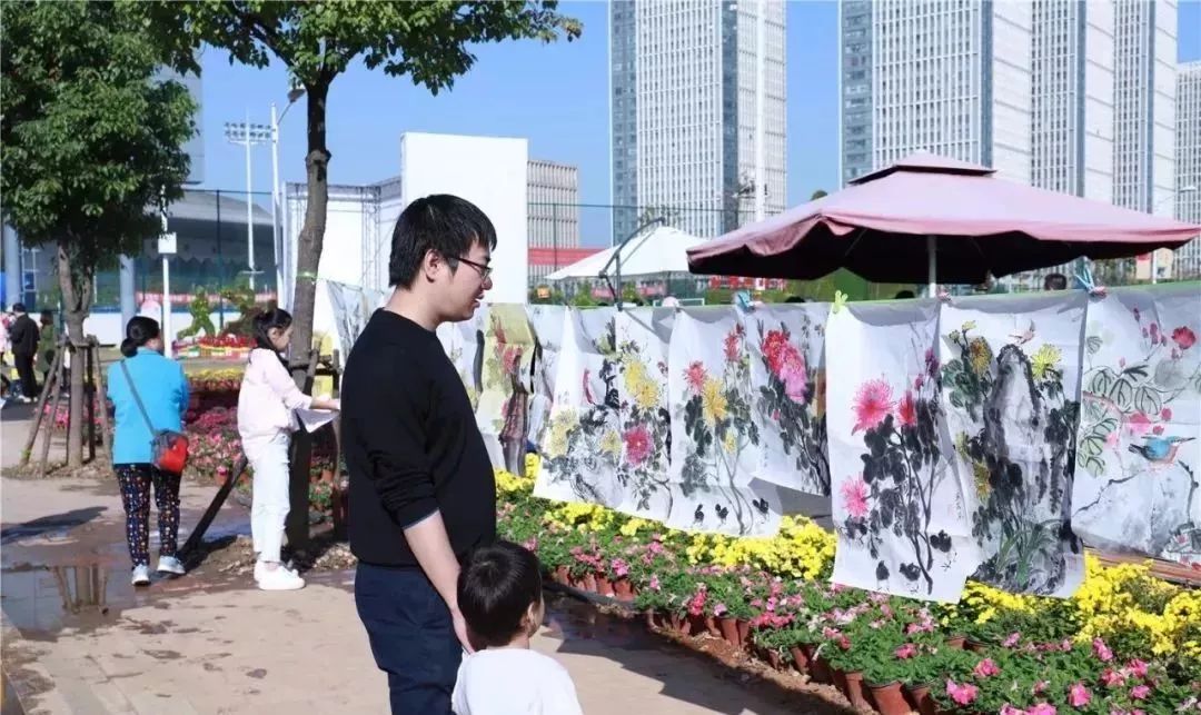 体育中心看展菊,运动公园菊展