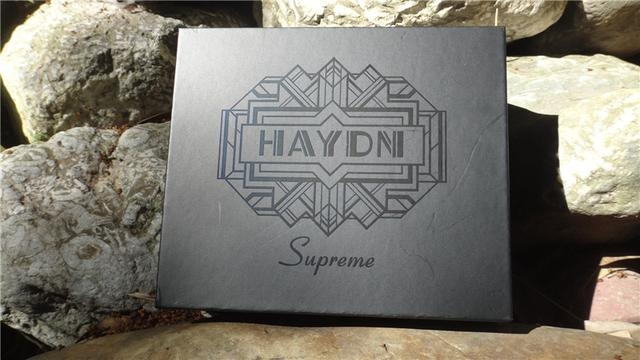 山进海顿迷你音箱收音机柔曼细音浸入耳