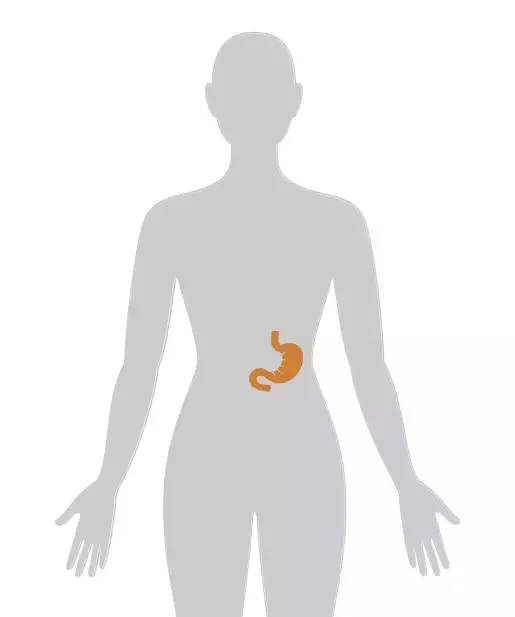 18张癌症人体地图，揭秘致癌真相！