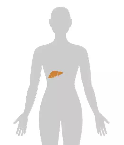 18张癌症人体地图，揭秘致癌真相！