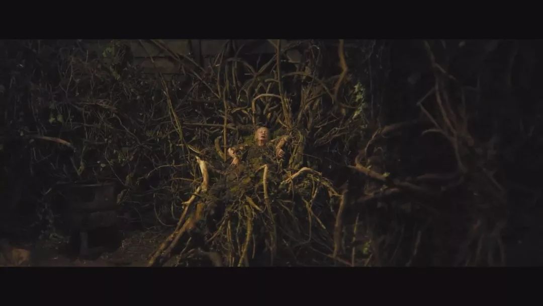 动作*片A**《突袭》之后，他又带来了一部*力暴**邪典！