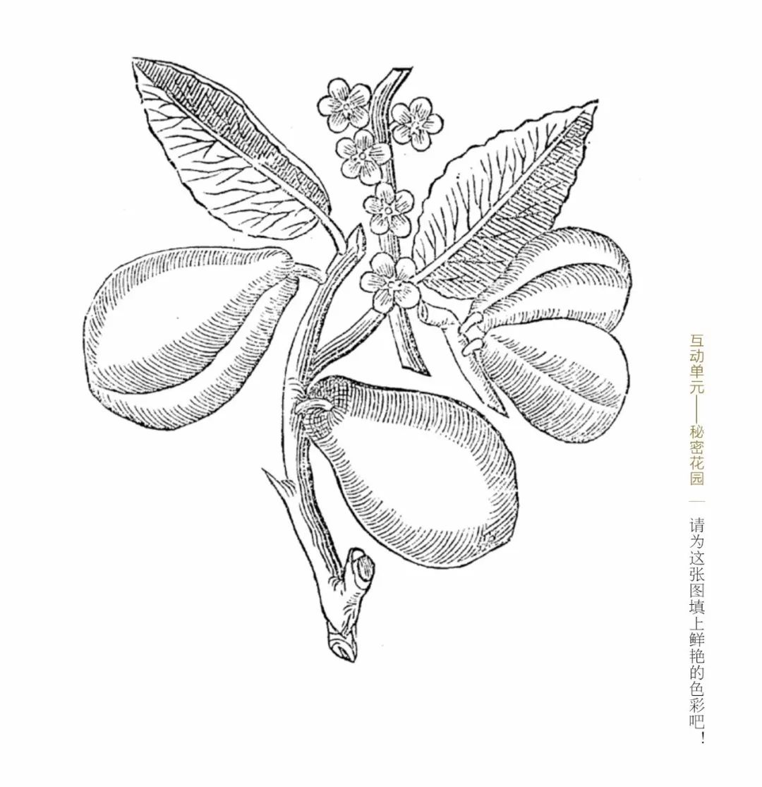 团｜《艾特熊和赛娜鼠》屡获国际大奖的温暖绘本+艺术儿童启蒙日历，爸爸陪娃的神器+用44只东北大白鹅，才攒出1床的鹅绒被