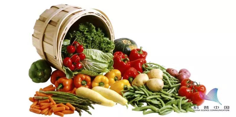 抗癌食物是真的还是假的,抗癌食物是真的么