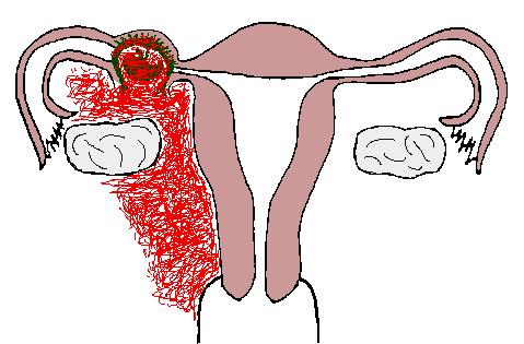 黄绿医生事件,曝光医生骗局