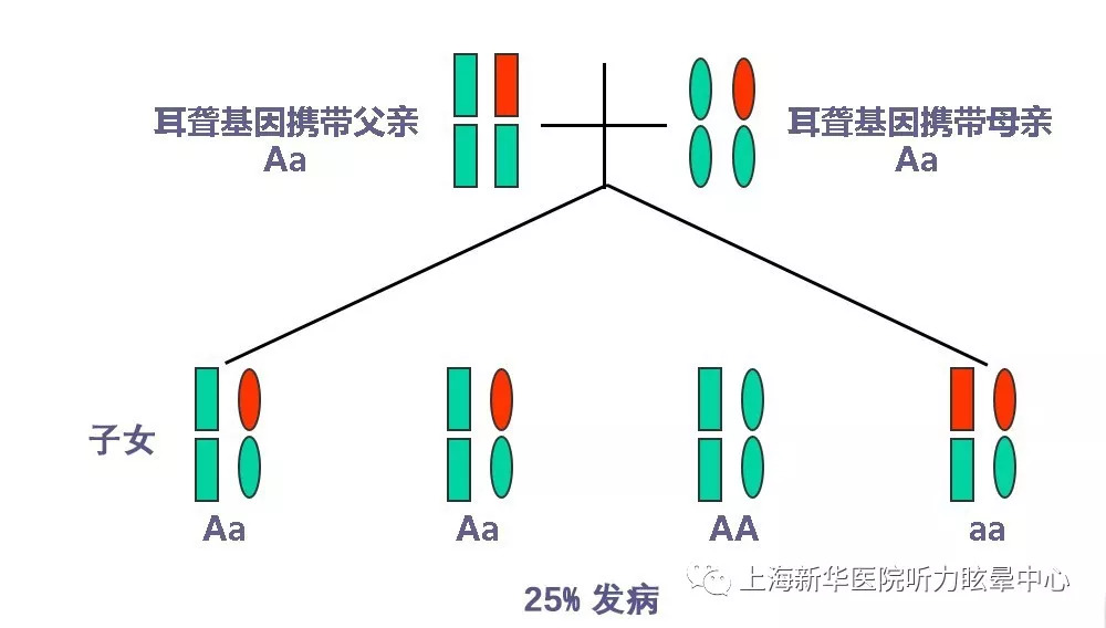 遗传性耳聋怎样可以不遗传下一代,遗传性的耳聋是怎么引起的