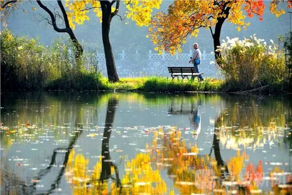 南京最美赏秋地点,南京赏秋之旅