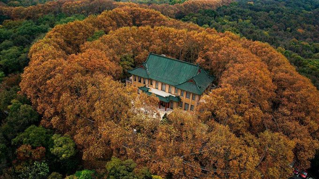 南京最美赏秋地点,南京赏秋之旅