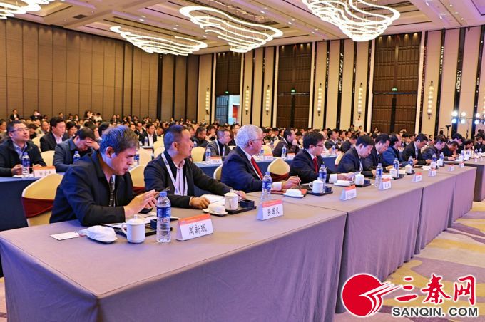 2018年中国国际财经年会,2021年中国铅锌年会