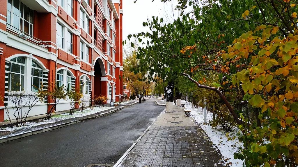 鎷虫嫵璧ゅ瓙蹇冩娈锋姊撴儏闃呰,涓嶅繕鍒濆績姣嶆牎鎯呭洓鍗佷綑杞藉啀鑱氶