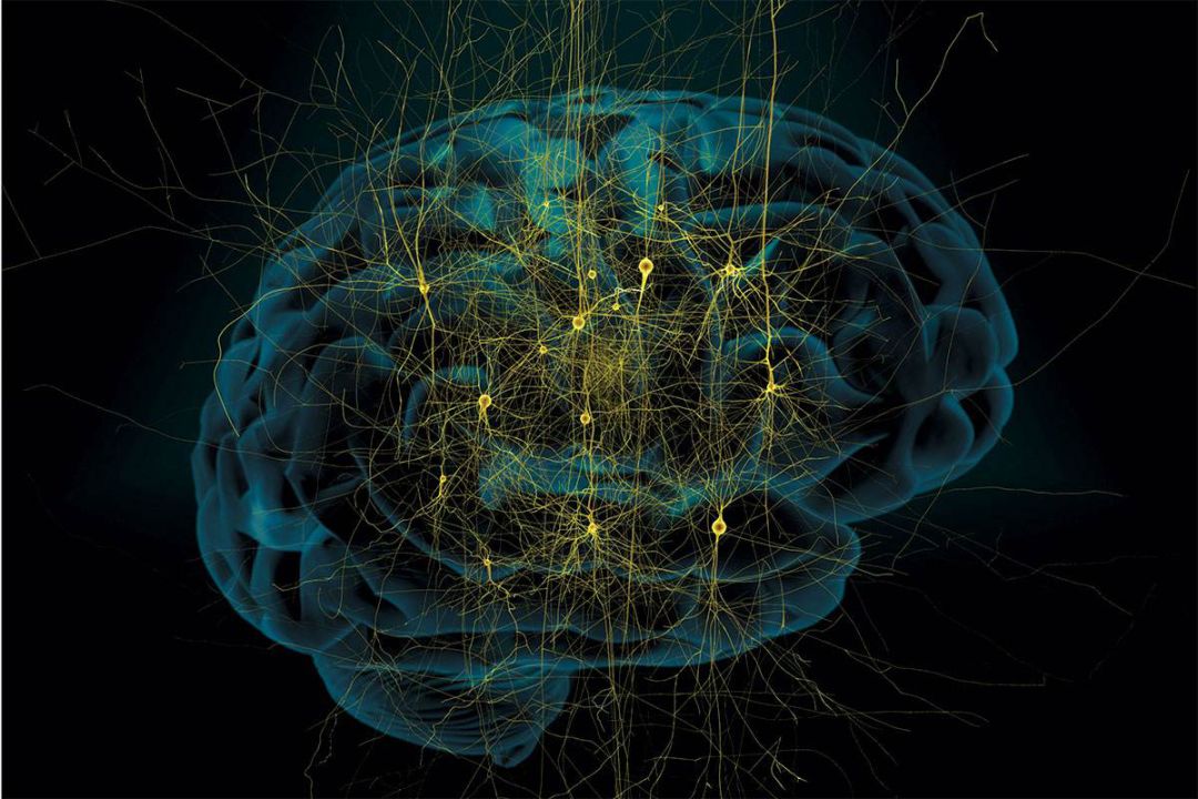 战胜恐惧症的最佳治疗方法,常见的恐惧症怎么治