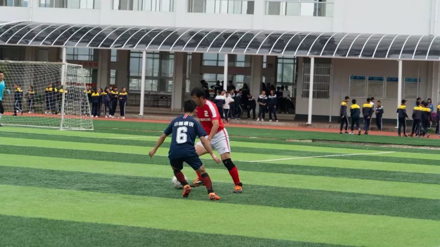 云南宾川奥运冠军,宾川启明星杯冠军