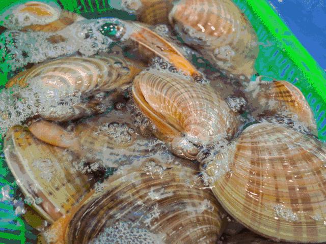 双十一去旅游,双11去双合石壁玩