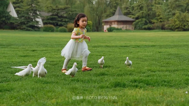 羊驼陪吃早餐，天鹅湖中畅游，藏身北京奥森旁的休憩之地：在之禾