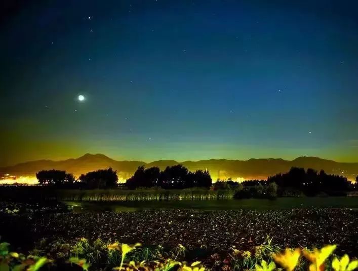 1月机票白菜价！从洛阳出发，最低只要170元！比坐车还便宜！