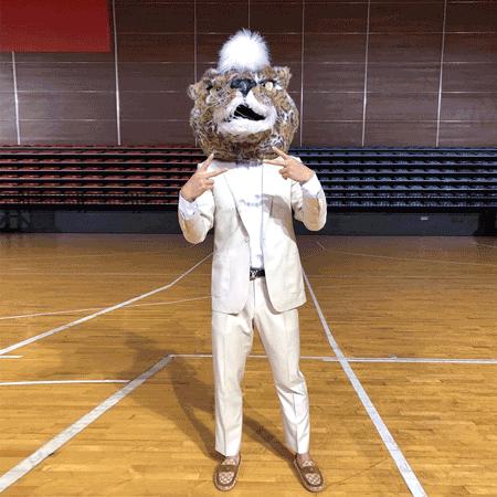 主场宝安赛区售票通道正式开启