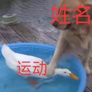 体考将至让我们全力以赴,体测各个项目技巧