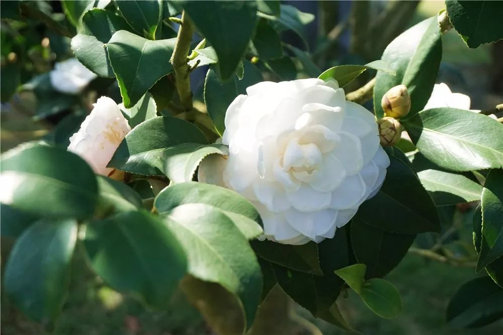 广西在别人眼中是什么样子的,南宁在广西人眼里