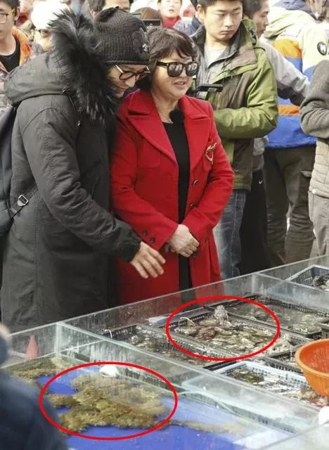 神奇的海参!女人不老、男人不虚,延年益寿,现在知道还不晚……