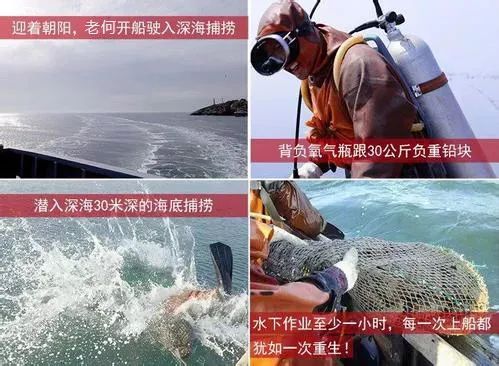 神奇的海参!女人不老、男人不虚,延年益寿,现在知道还不晚……