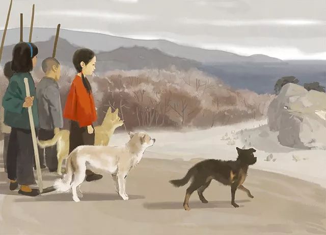 曹文轩著作疯狗浪,曹文轩疯狗浪适合几年级