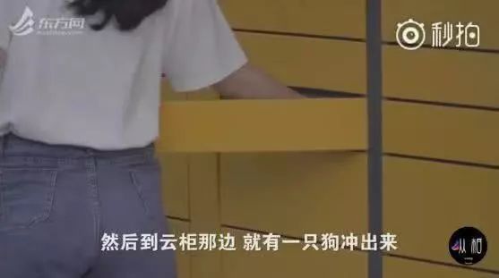 史上最严养狗令：早7点到晚22点禁止遛狗！网友吵翻了……