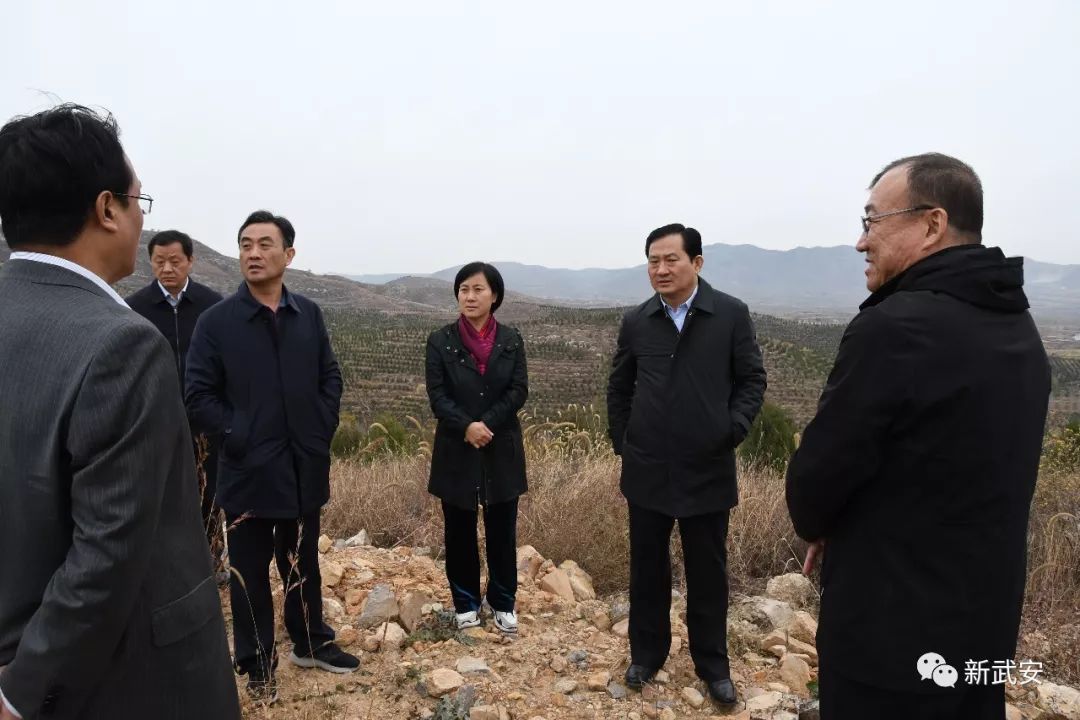 延峰市长带队来“巡山”，原来是为了这两件大事！