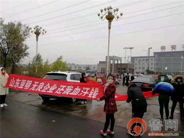 山东亚明照明科技有限公司,山东亚明照明科技有限公司2020年