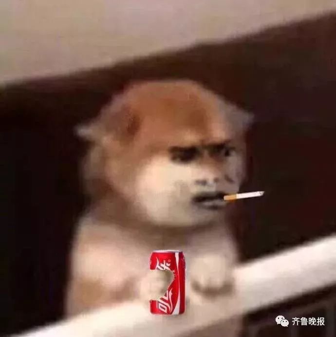 女子代购被判刑10年罚款550万,代购被罚款会有案底吗