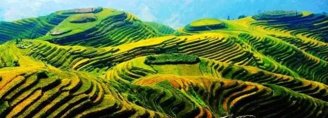 头条丨别劝了！我决定留在广西过春节，好吃又好玩，关键还不冷