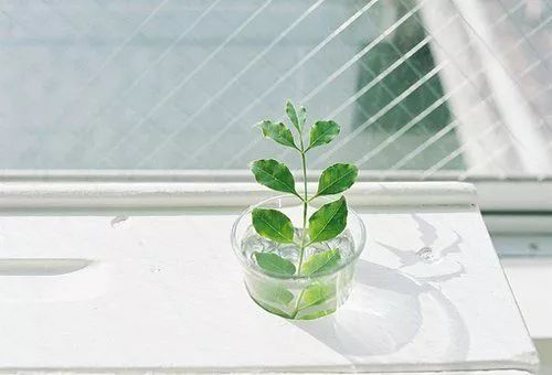 让双唇感受自然的轻抚-每人的兜里都有一位护士女孩