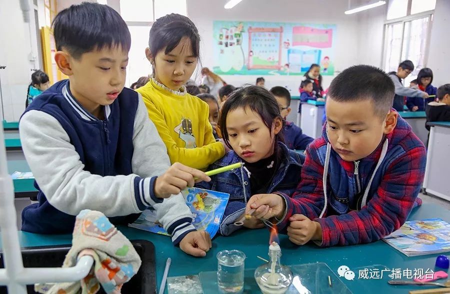 严陵镇中心校,严陵镇中心校及所属校园