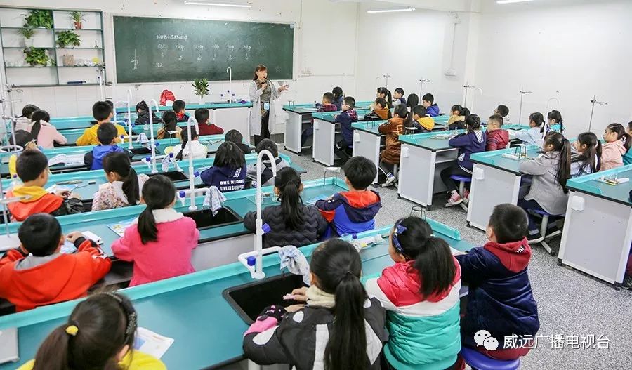 严陵镇中心校,严陵镇中心校及所属校园