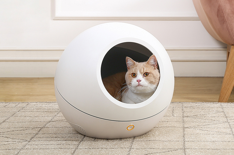 濂崇敓閮借鐭ラ亾鐨勫崄澶х粡鍏告,瀛︾敓鍏氳兘涔板緱璧风殑鏄庢槦鍚屾鎺ㄨ崘