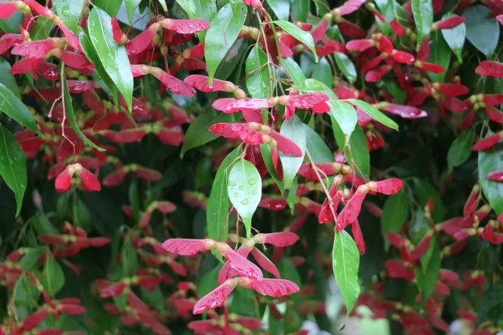 黔南3天旅游攻略,黔南荔波旅游攻略