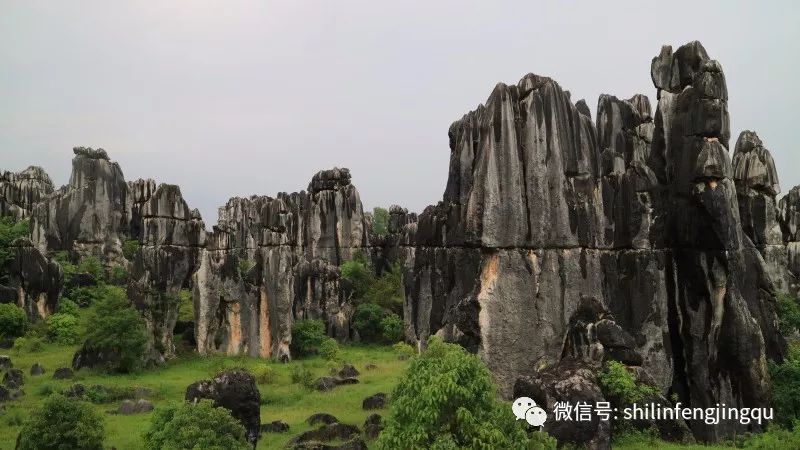 石林是喀斯特地貌的精华吗,云南石林喀斯特地貌特征