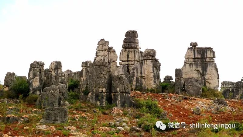 石林是喀斯特地貌的精华吗,云南石林喀斯特地貌特征