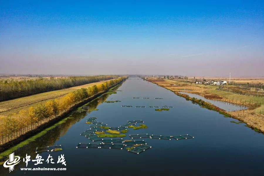 颍上庄台变身记：“穷洼地”逆袭成为“绿富美”